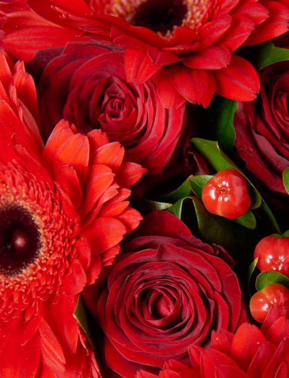 Букет из красных роз, гербер, гиперикумом и рускусом - вид 4 миниатюра